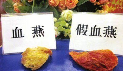 燕窝是哪里产才是正宗的,燕窝是正宗的吗