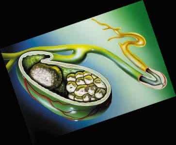 这项技术降低了那些无法承受手术病人的死亡率