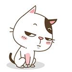 爱丽小屋西柚盘,爱丽小屋四色眼影盘