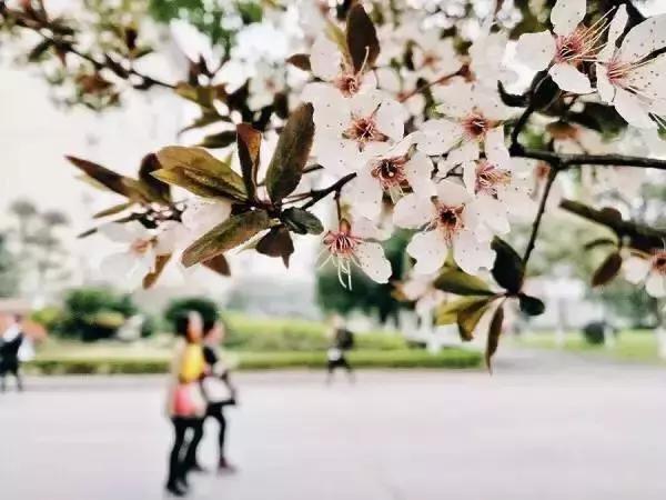 中南民大好在哪,中南民大官网新闻