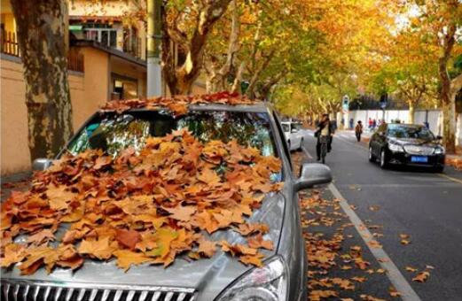 对不起，我要去上海新东方，别再找我了！