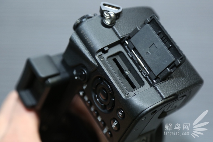 适马sdq怎么样,适马sdq样张