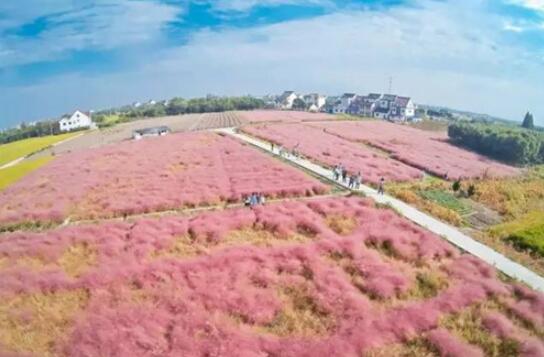 对不起，我要去上海新东方，别再找我了！