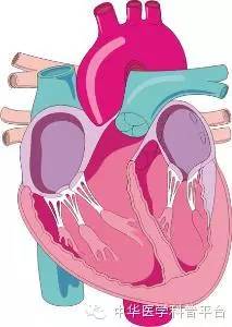 输血的不良反应讲课,输血不良反应警示教育