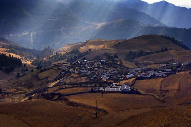 姜紫雅回家（下）