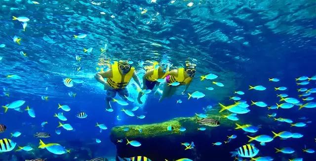 夏一站—深夜的啤酒比清晨的白粥好喝!尤其是虎牌的!