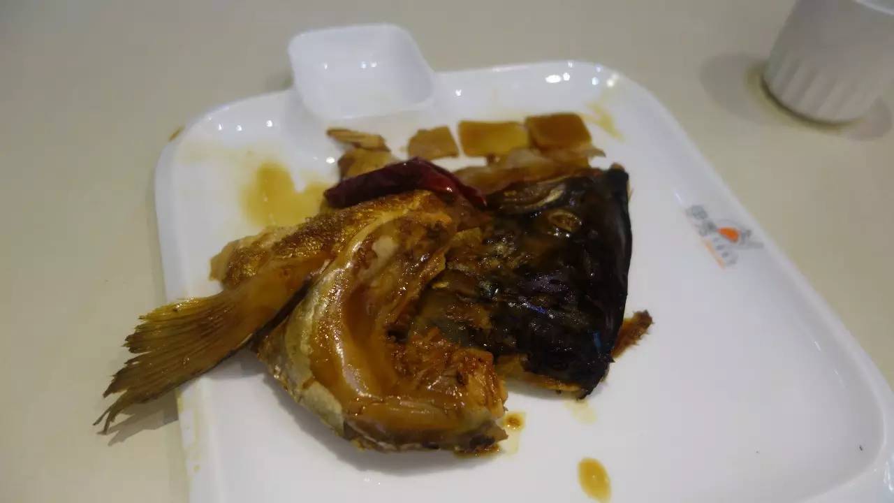 时光吃遍石家庄——这个寿司连锁开了好多年，我居然第一次吃