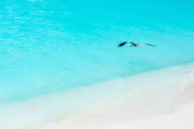 谁说带着娃就不能度蜜月？｜你没见过的马尔代夫游记