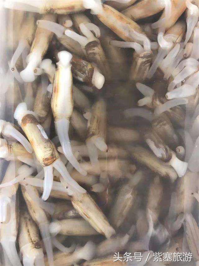 河北田园农家乐攻略,河北海边最有特色的海边农家乐