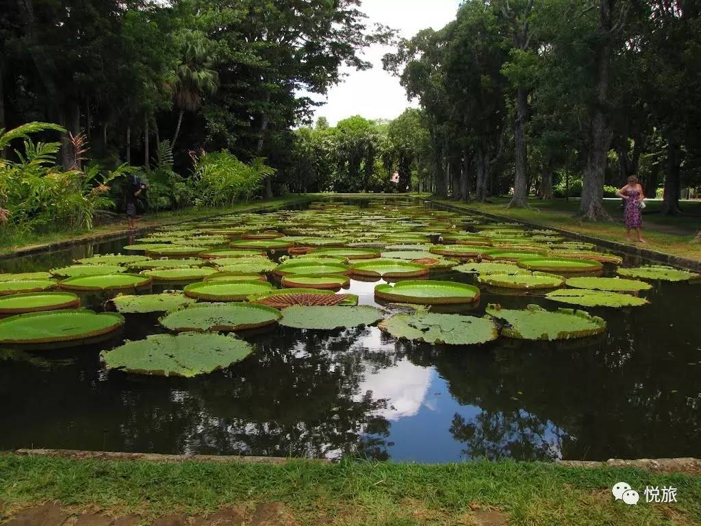 毛里求斯出境旅游攻略,刚去毛里求斯的人可以免签30天吗