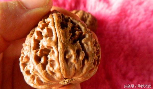 文盘核桃与武盘的图片,核桃武盘和文盘啥意思