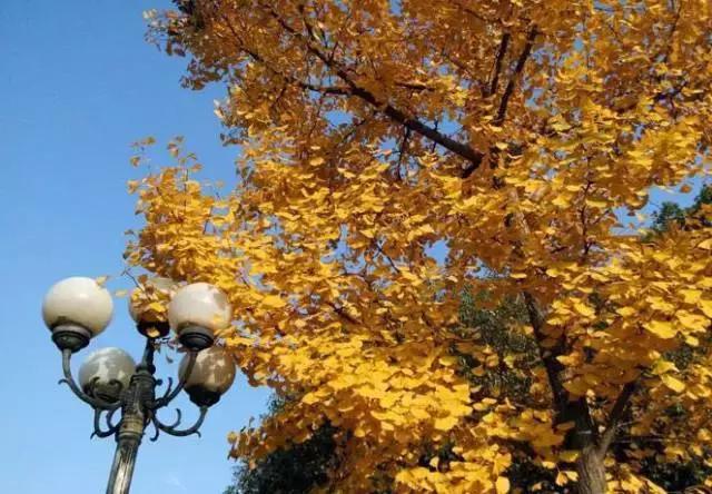 中南民大好在哪,中南民大官网新闻