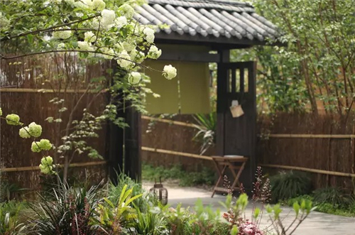 楚乔传朝代房间,楚乔传和琅琊榜哪个先出来