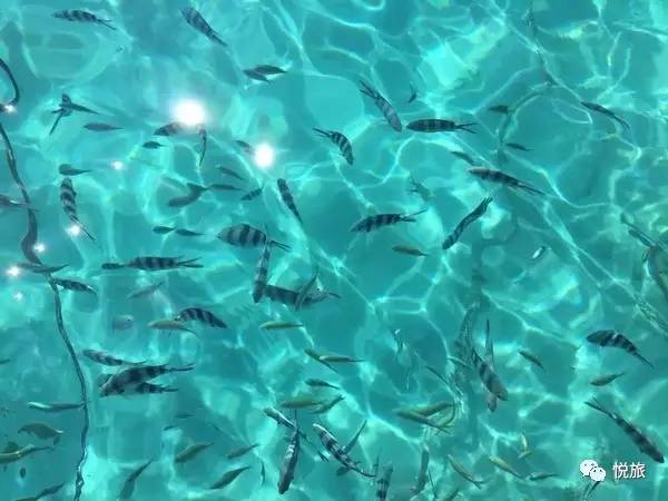 毛里求斯免签,毛里求斯在中国免签停留时间