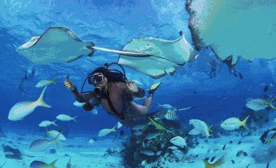 在张家港生活是什么体验,在张家港的生活