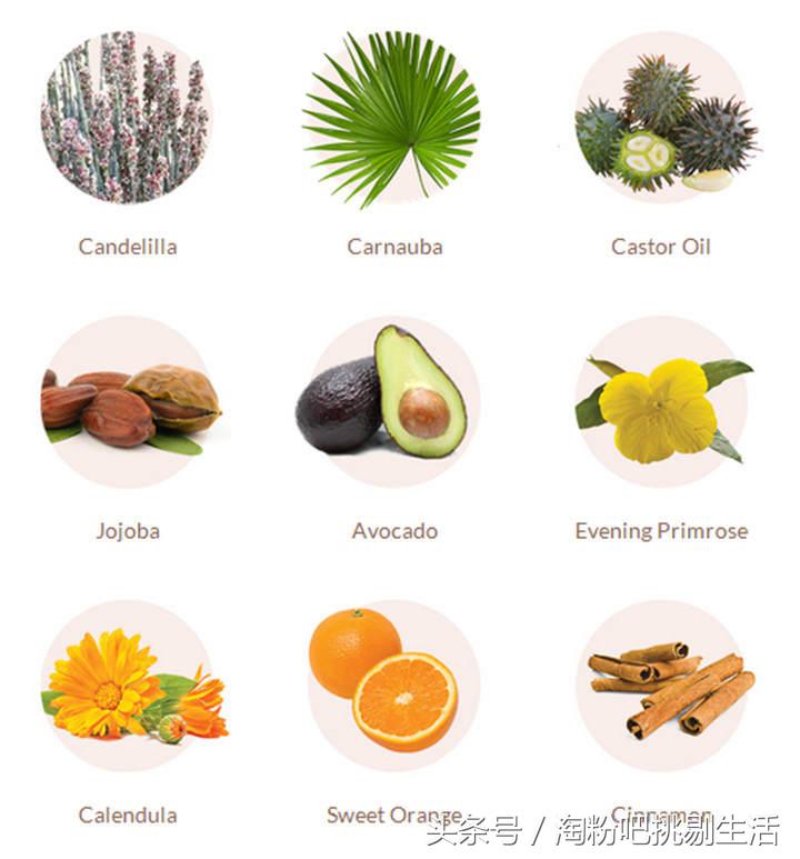 5款大气又显白的口红分享给你,实用口红经典口红推荐哪款