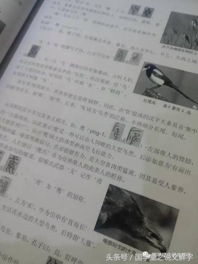 说文解字高清大图,加厚彩图版说文解字详解