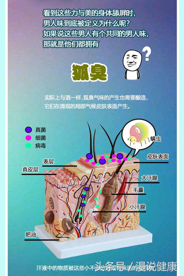 是重口味还是性魅力?印尼女孩爱闻男友腋下,男人味究竟是什么味道?