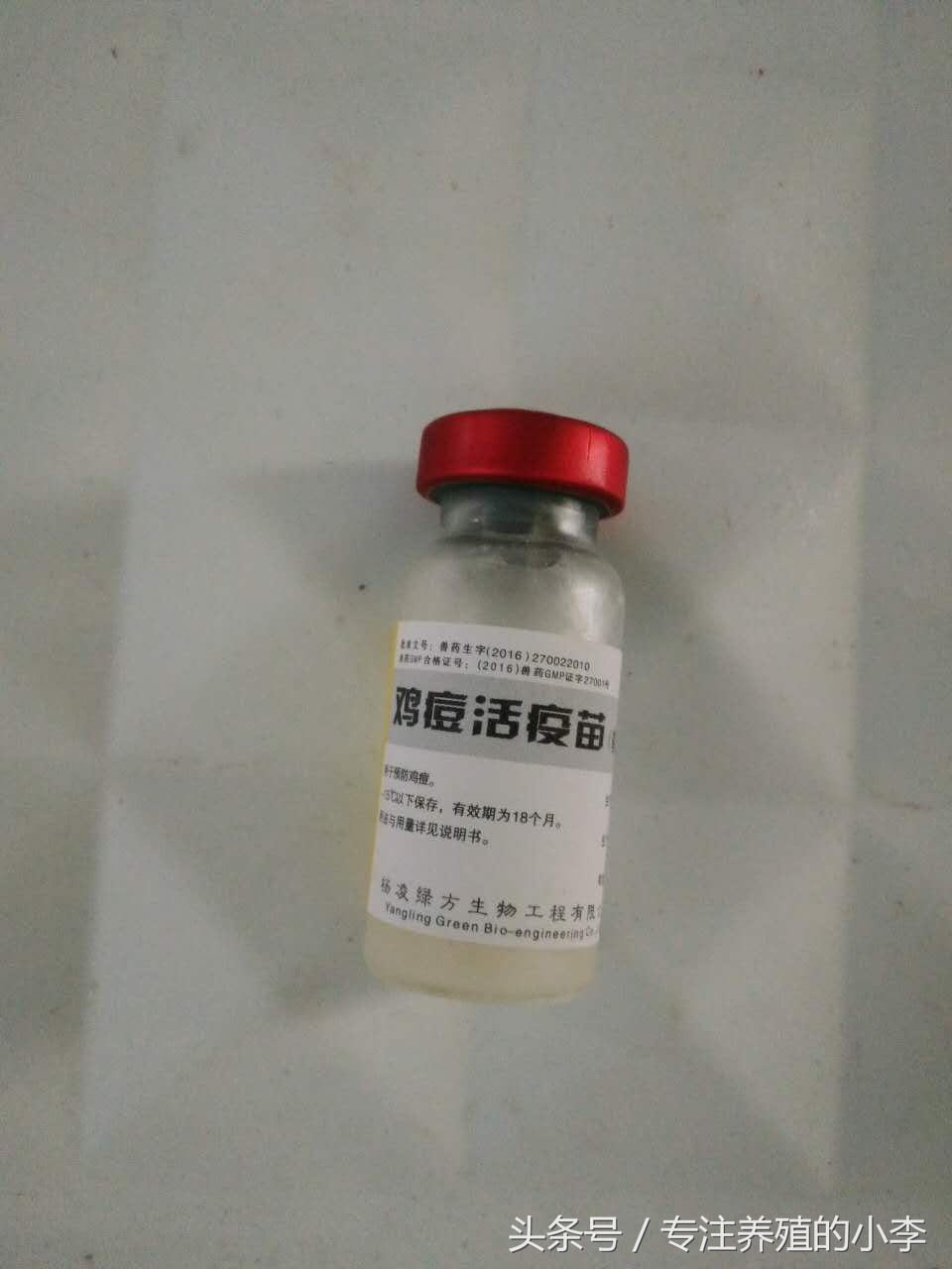 鸡被蚊子咬了怎样治疗,鸡眼睛被蚊子咬了怎么办