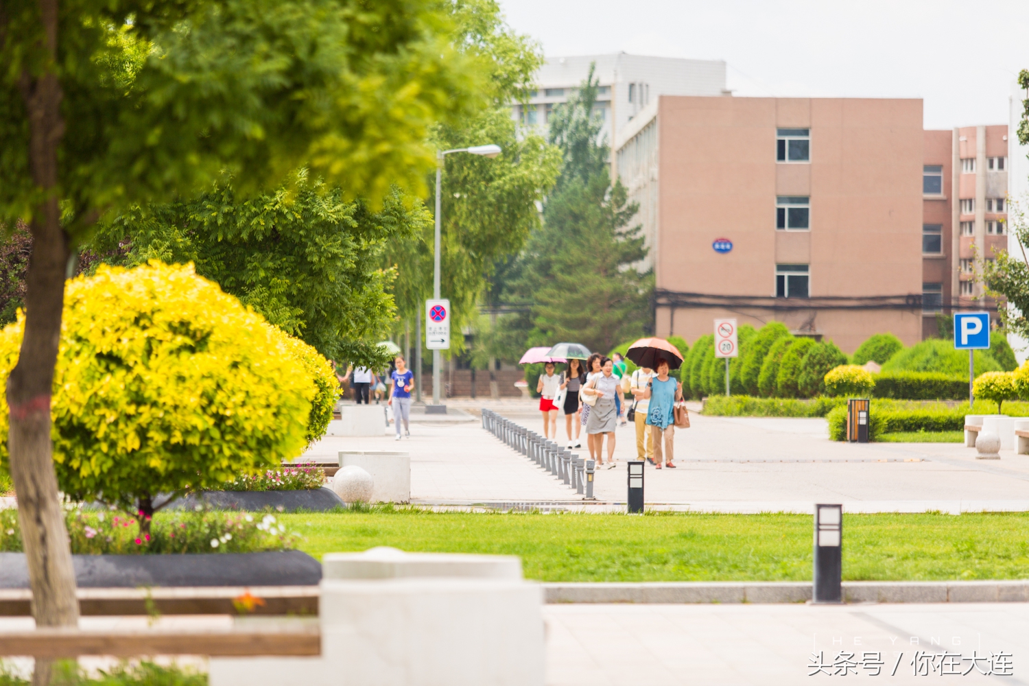 山西大同大学介绍,山西大同大学简介