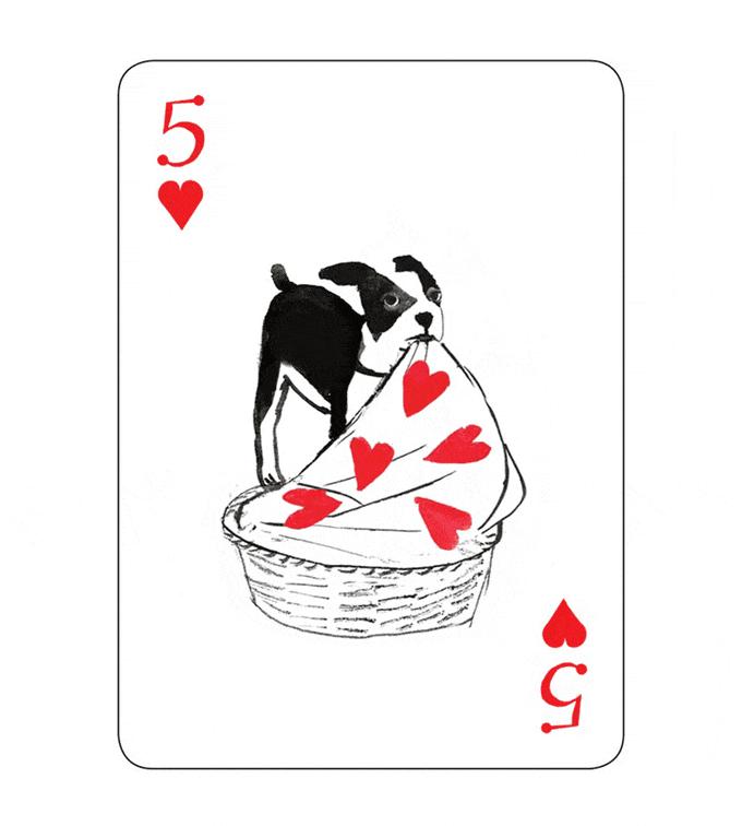 jqk扑克牌,好看的狗狗扑克牌