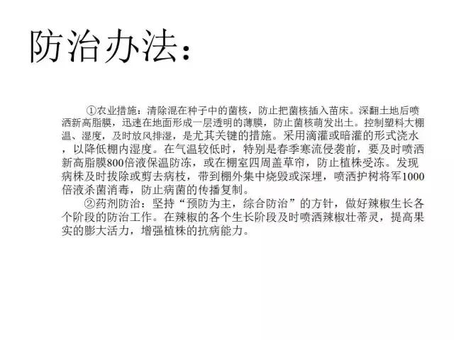 辣椒卷叶病虫害图谱及防治方案,辣椒病虫害大全