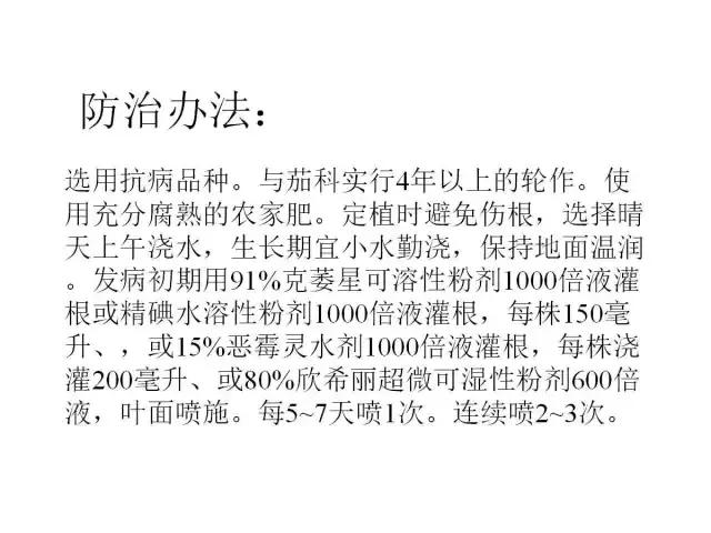 辣椒卷叶病虫害图谱及防治方案,辣椒病虫害大全