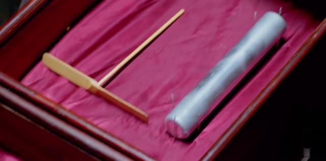 楚乔传宇文玥的眼疾,楚乔传眼盲