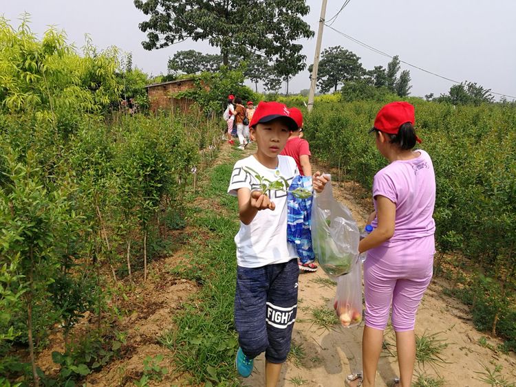 暑假桃源一日游,荥阳高村沐恩生态园