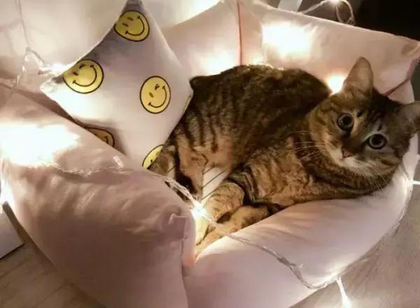 不砸厨房阳台改造,不砸厨房墙体设计