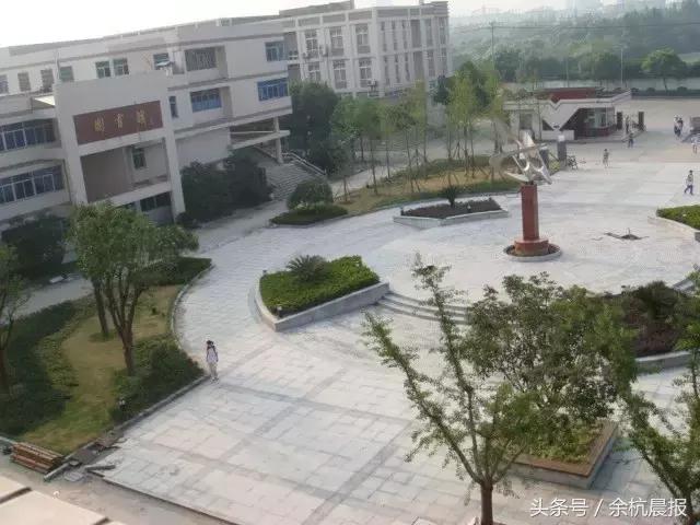 来不及道别就已永别,来不及告别青春已远逝