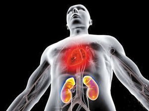 出现这六种情况警惕尿毒症,关于尿毒症下列哪种说法不正确