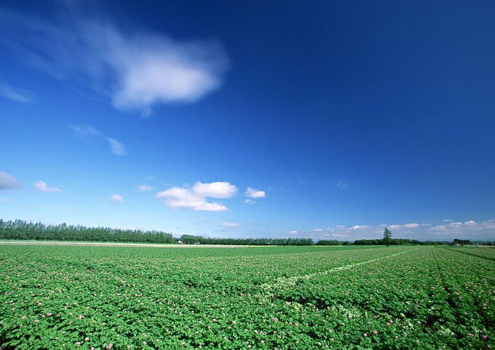 在农村做什么最赚钱，手把手教你致富之道