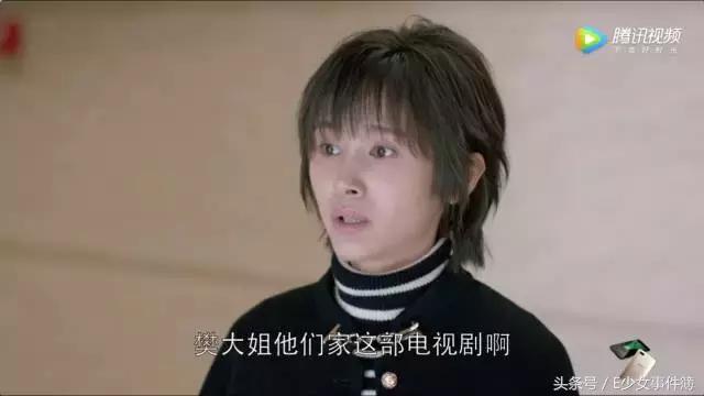 欢乐颂五美的经济阶层,欢乐颂五美是什么工作