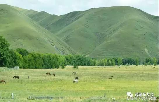 70后大叔徒步回家,70后大叔在家自驾游