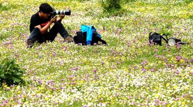 川西康定木格措,四川川西康定风景