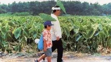 小孩子想怎样过夏天,孩子过夏天