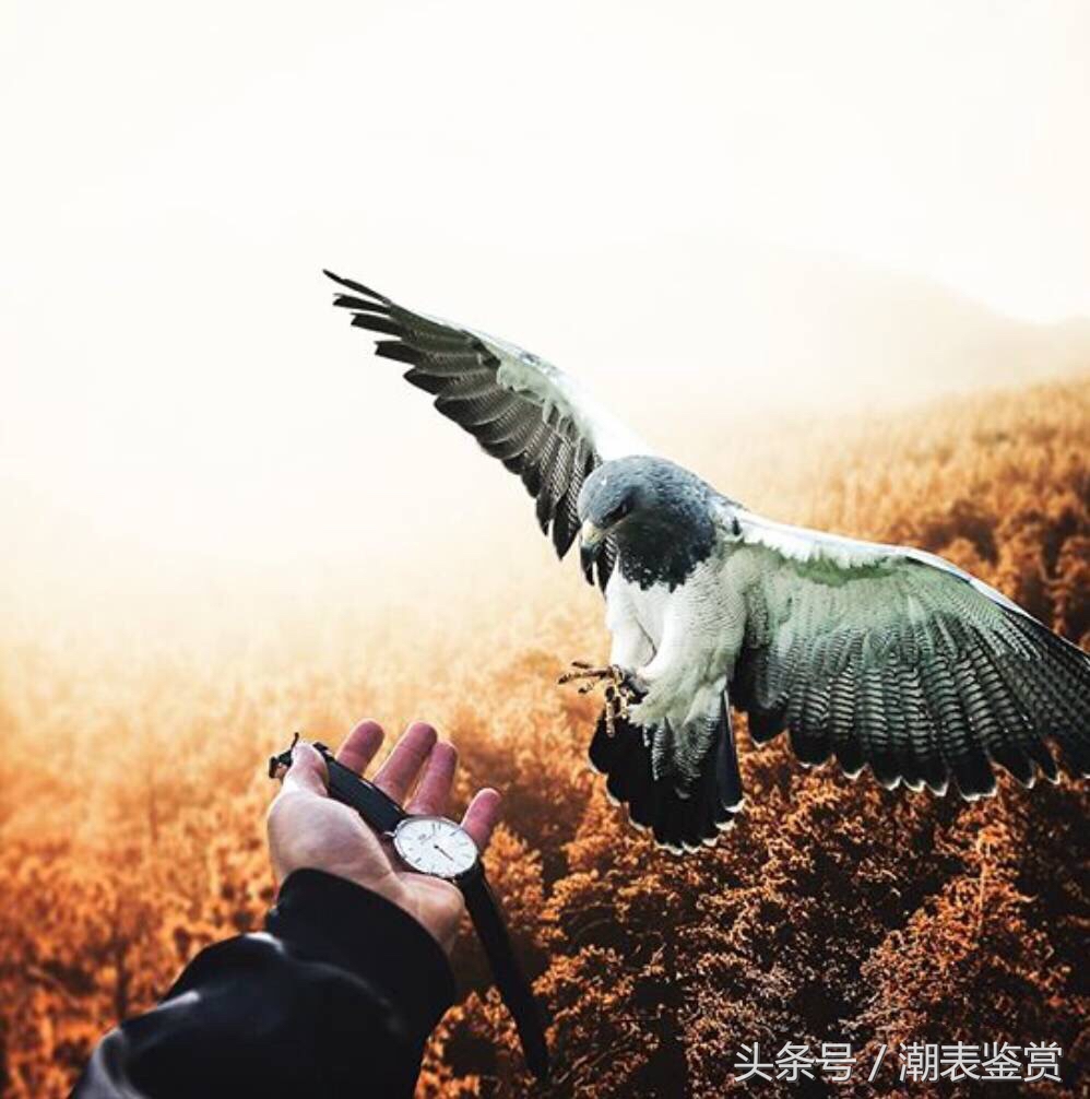 dw手表说明书第四页真假辨别,dw手表怎样验真假