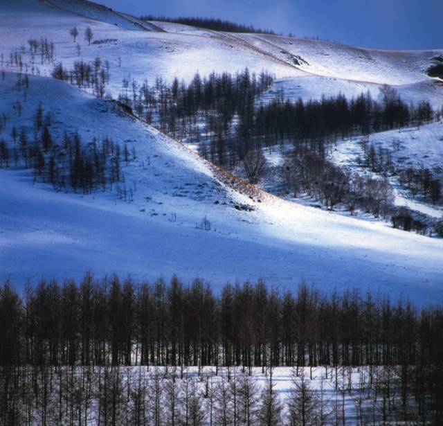 沽源草原天路全景,沽源草原天路怎么样