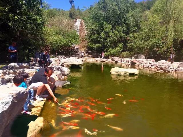 文化和自然遗产日2023年活动主题,文化和自然遗产日博物馆之夜