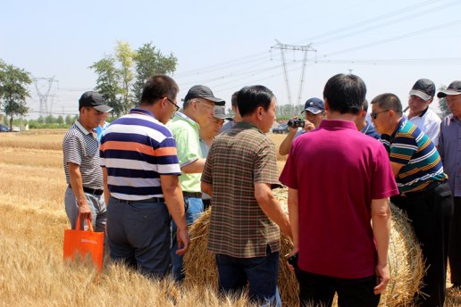 中农博远4x玉米收获机,中农博远玉米收割机视频