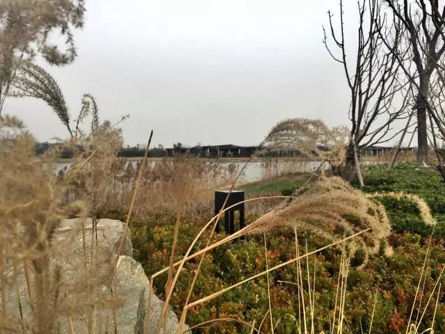 开封清明上河园附近铂尔曼酒店,铂尔曼酒店清明上河园