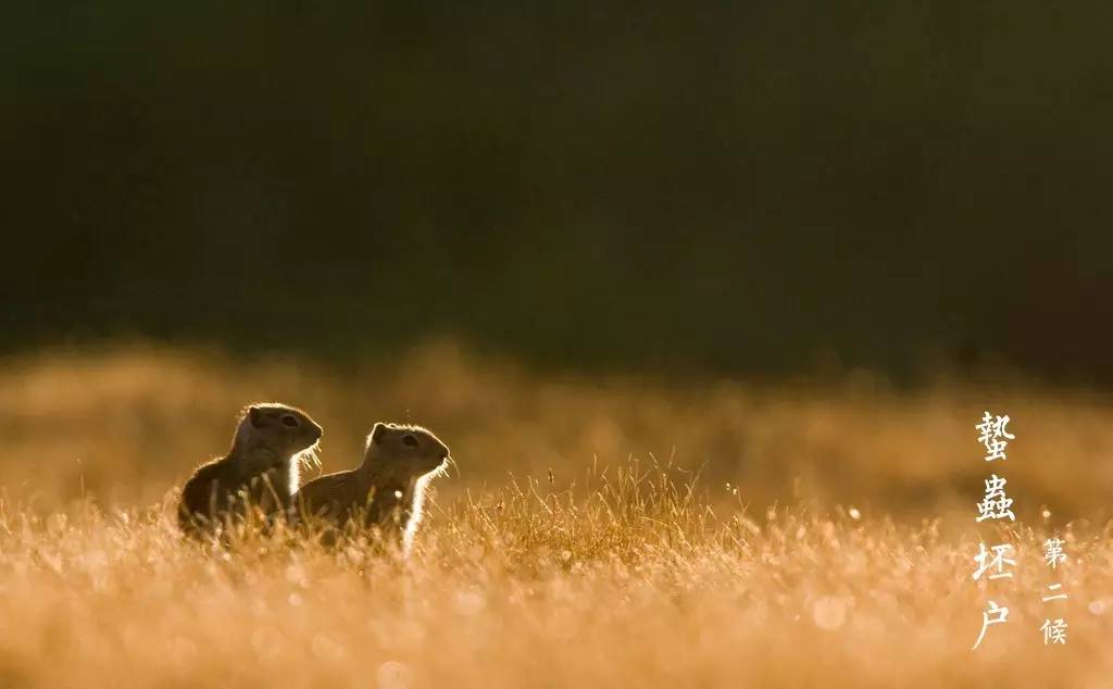 秋分节气过后天气变化,秋分过后啥时候开始变冷