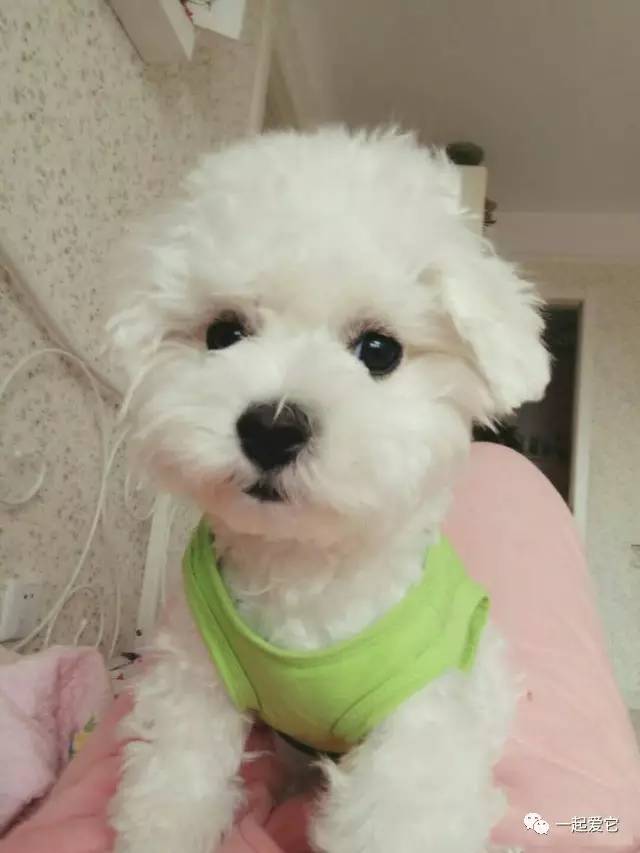 宠爱故事100个,宠爱剧情梗概