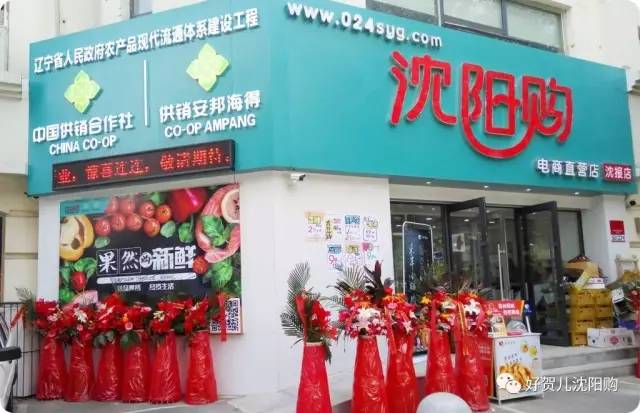 有好贺｜无公害蔬果产地直送、进口食品极速送货，沈阳购电商直营店开业啦！