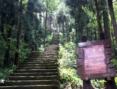 玩转大重庆超强攻略 (重庆各区最全玩耍攻略)