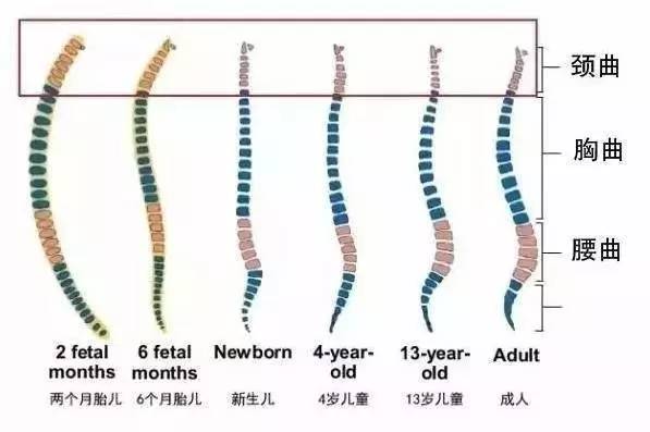 睡觉选择什么样的枕头,如何给孩子选择枕头