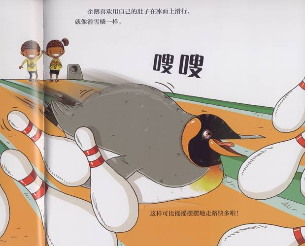 奇思妙想科普绘本解读,儿童必看的自然科普绘本