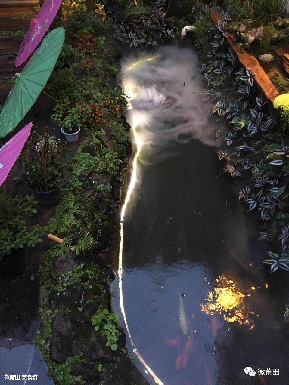 微莆田：阿珊哥探店「巴山夜雨」
