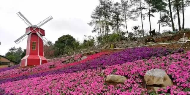 清远值得看看的地方,清远山清水秀的地方有哪些